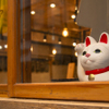 酒ワイン食堂 今日どう？ - メイン写真: