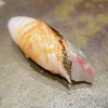 Sushi En - メイン写真: