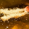 立呑み 魚椿 - メイン写真:
