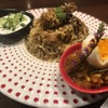 ベンガルタイガー - メイン写真: