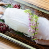 九州の地魚料理 侍 - メイン写真: