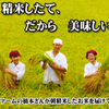 Tempura Meshi Ten Nosuke - メイン写真: