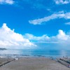 タイ料理889 - メイン写真:
