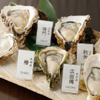 OYSTER BAR 酒肆石花 - メイン写真: