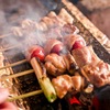 Robata Izakaya Sumibee - メイン写真: