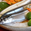 馬肉・活魚・四季旬感 三本松 - メイン写真: