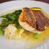 Trattoria Coltivare - メイン写真: