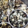 海鮮酒場 魚波 - 料理写真: