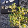 Le cafe Printanier - メイン写真: