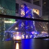 Zucchero - メイン写真: