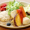 はるかなるカレー - 料理写真:はるかなるカレー