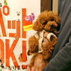 個室ふるけん - メイン写真: