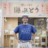 Okinawa Retoro Sakaba Nomusan - 料理写真: