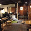 雀おどり總本店 - メイン写真: