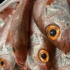 地酒と創作和食 吟 - メイン写真: