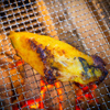 海鮮料理と釜めし あらき - メイン写真:
