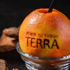 Farm to Table TERRA - ドリンク写真:“生しぼり”グレープフルーツジュース