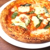 TORATTORIA COLLINA PICCOLA - メイン写真: