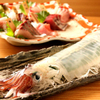 横浜イカセンター - 料理写真:口の中で踊る活イカ！