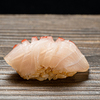 Shinjuku Sushi Shiorian Yamashiro - メイン写真: