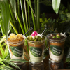 Botanical Garden SARU CAFE - メイン写真: