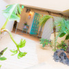 Bliss Burger Hawaii - メイン写真: