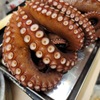 浦正鮨 - メイン写真:
