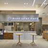 BLUE LEAF CAFÉ - メイン写真: