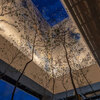 BALCON TOKYO - メイン写真: