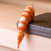 Sushi Akazu Mochizuki - 料理写真:寿司5