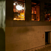 KINKA sushi bar izakaya - メイン写真: