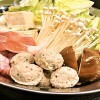 Yakitori Izakaya Maruyoshi - メイン写真: