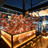 MORI BAR GRAN - メイン写真: