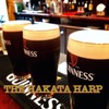 Irish Pub THE HAKATA HARP - メイン写真: