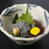 入船鮨本店 - メイン写真: