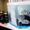 入船壽司 兩替町店