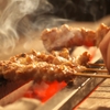 地鶏焼き鳥 かどまつ - メイン写真: