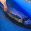 ボヌールキッチン - メイン写真: