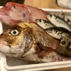 四ツ橋・新町 牡蠣と肉たらしビストロAKIRA - メイン写真: