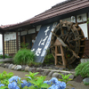 Sobadokoro Yokotei - 外観写真:水車が目印