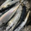 魚楽食堂 海ん中 - 料理写真: