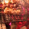 鶏のんちゃん - メイン写真: