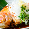 魚と日本酒 魚バカ一代 - メイン写真: