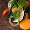 SHOTOEN - メイン写真: