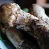 Mumyou - 料理写真:昼採れの松茸