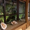 魚屋直営地魚食堂 魚まる - メイン写真: