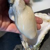 魚屋酒場フィッシャー - メイン写真: