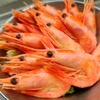 Shrimp Garden - メイン写真: