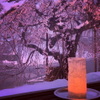 魁本店 - メイン写真:
