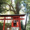 十割蕎麦 玉竹 - メイン写真: